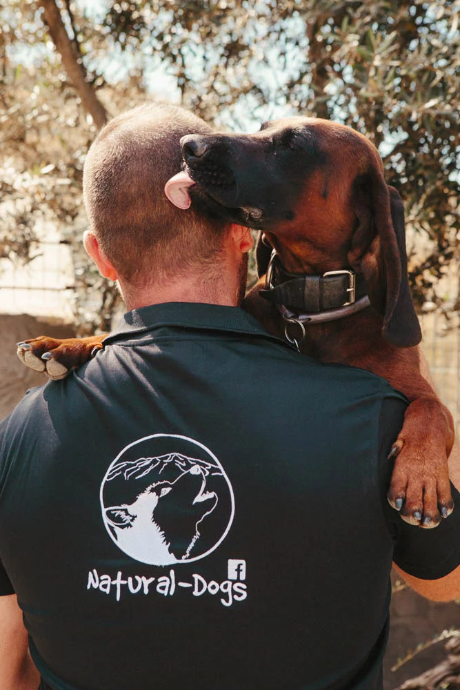 Adiestramiento canino y Educación canina