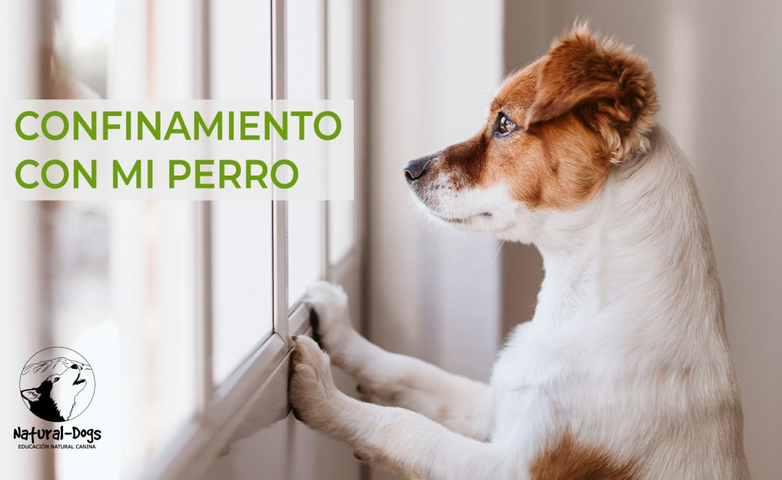 confinamiento