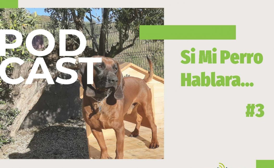 podcast-si-mi-perro-hablara3