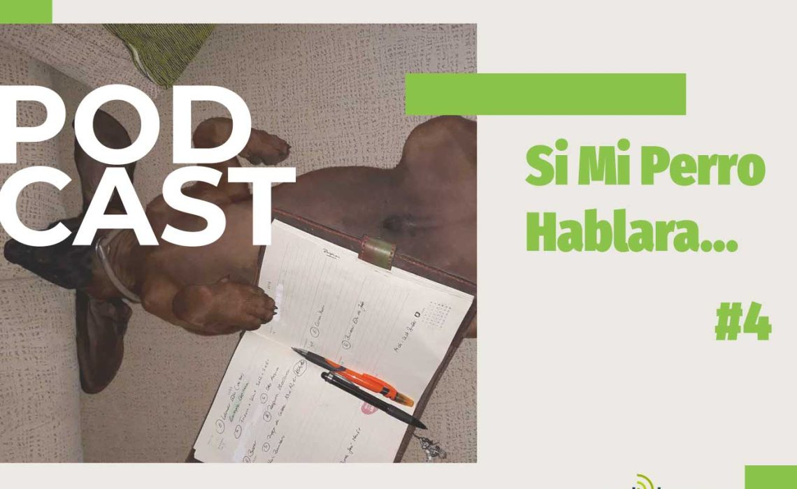 podcast-si-mi-perro-hablara4