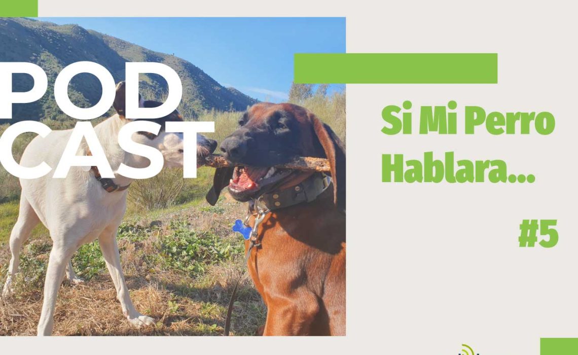 podcast-si-mi-perro-hablara5